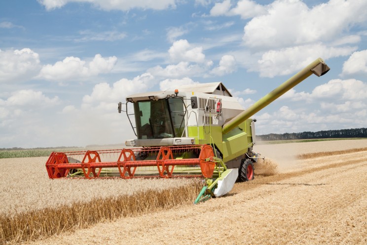 Combine working on a wheat field
